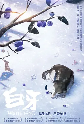 精品一区二区免费